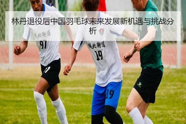 林丹退役后中国羽毛球未来发展新机遇与挑战分析
