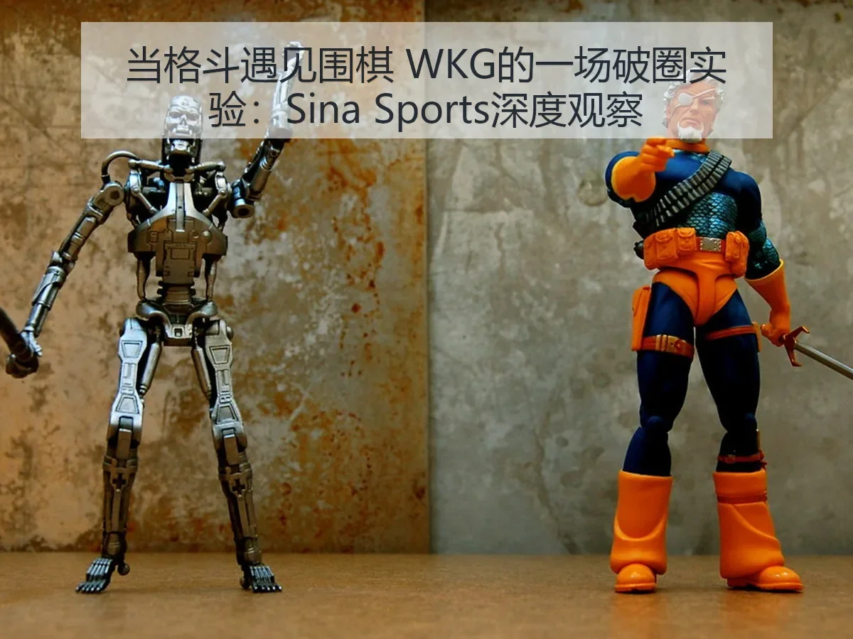 当格斗遇见围棋 WKG的一场破圈实验：深度观察